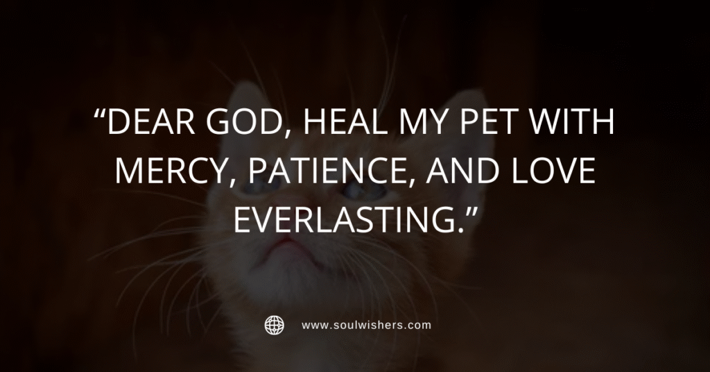 25+ Powerful Prayers For Pets: St. Francis-Inspired Pet Blessings and Comfort