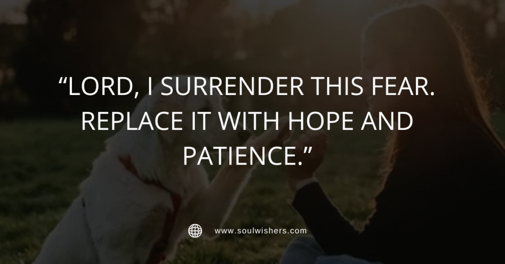 25+ Powerful Prayers For Pets: St. Francis-Inspired Pet Blessings and Comfort