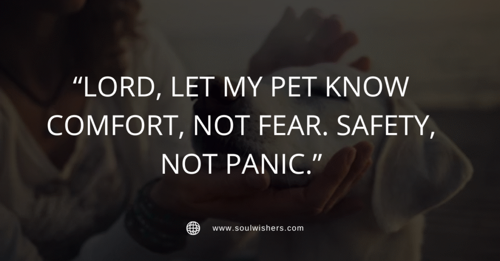 25+ Powerful Prayers For Pets: St. Francis-Inspired Pet Blessings and Comfort