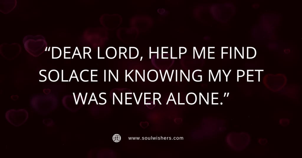 25+ Powerful Prayers For Pets: St. Francis-Inspired Pet Blessings and Comfort