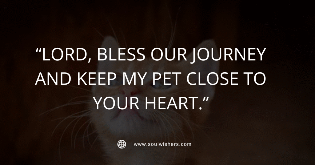25+ Powerful Prayers For Pets: St. Francis-Inspired Pet Blessings and Comfort