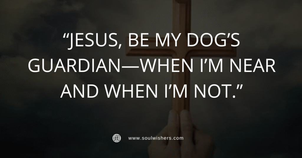 30+ Powerful Prayers For Dogs
