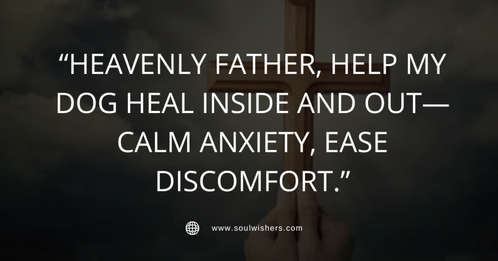 30+ Powerful Prayers For Dogs