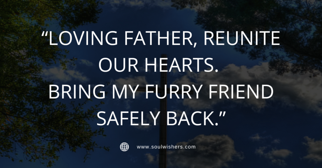 30+ Powerful Prayers For Dogs