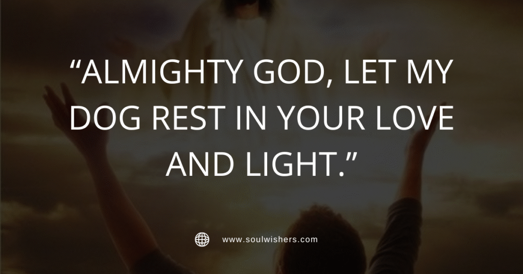30+ Powerful Prayers For Dogs