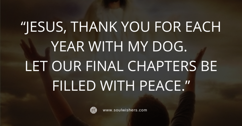 30+ Powerful Prayers For Dogs