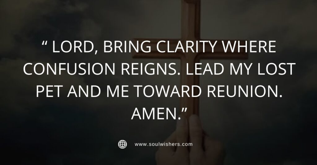 30+ Powerful Prayers For Lost Pets